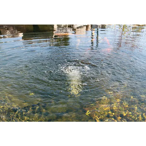 Grosses soldes ? Aérateur De Bassin Solaire - "Solar Air S" - 120 L / H Esotec ? 2 Grosses soldes ? Aérateur De Bassin Solaire - "Solar Air S" - 120 L / H Esotec ? – Image 2