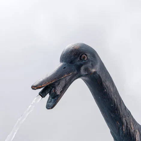 Tout neuf ❤️ Figurine De Gargouille Oie Jardin Deau Décoration Figurine De Bassin Esotec 100732 ? 5 Tout neuf ❤️ Figurine De Gargouille Oie Jardin Deau Décoration Figurine De Bassin Esotec 100732 ? – Image 5