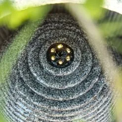 Les meilleures critiques de ? ESOTEC Fontaine De Jardin Fontaine + Décoration Cascade Lumineuse LED Fontaine D’intérieur 230V 101451 ? -France Esotec Soldes 2024 26787372 4