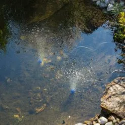 De gros ? Aérateur De Bassin Solaire 5W 200 L/h Pompe Aération De Bassin Oxygène Esotec 101844 ? -France Esotec Soldes 2024 26787597 3