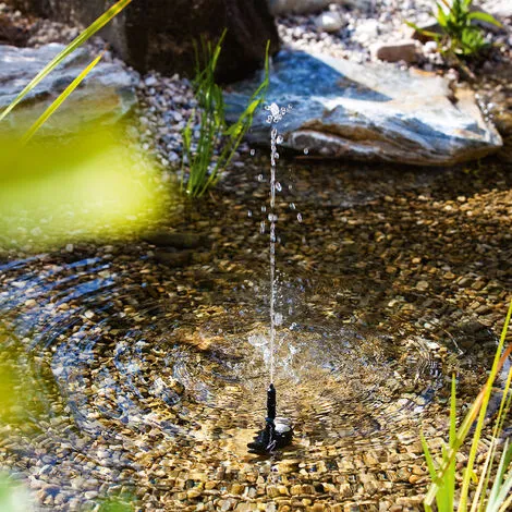 Meilleure affaire ? Pompe Solaire De Remplacement 6-9V 250l / H Pompe Solaire Pompe Détang Bassin De Jardin Esotec 101990 ⌛ 4 Meilleure affaire ? Pompe Solaire De Remplacement 6-9V 250l / H Pompe Solaire Pompe Détang Bassin De Jardin Esotec 101990 ⌛ – Image 4