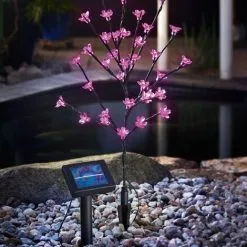 Bon marché ? Arbuste à Fleurs Solaire Lumière Décorative Lampe Solaire Lampe De Jardin Extérieur LED Esotec 102104 ? -France Esotec Soldes 2024 26788140 3