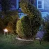 De gros ✔️ Spot Solaire Projecteur Blanc Chaud Lumière Solaire LED Décoration De Jardin Esotec 102701 ✔️ 11 De gros ✔️ Spot Solaire Projecteur Blanc Chaud Lumière Solaire LED Décoration De Jardin Esotec 102701 ✔️ -France Esotec Soldes 2024 26788685 1