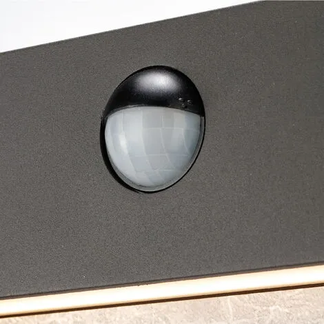 Offres ✨ ESOTEC Applique Dextérieur à Capteur LED Blanc Chaud 3000K 800lm Applique Dextérieur 15 Watts 201180 ? 4 Offres ✨ ESOTEC Applique Dextérieur à Capteur LED Blanc Chaud 3000K 800lm Applique Dextérieur 15 Watts 201180 ? – Image 4