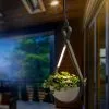 Les meilleures critiques de ? Lampe à Suspension LED Avec Pot De Fleurs Suspension Lampe Extérieure Extérieure Esotec 201205 ❤️ -France Esotec Soldes 2024 26789289 1