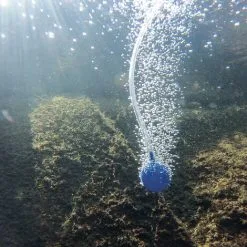 Sortie ✔️ Aérateur De Bassin Solaire 3,5W 130 L/h Pompe Aération De Bassin Oxygène Esotec 101841 ? -France Esotec Soldes 2024 26789439 4