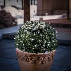 Sortie ? Chaîne Lumineuse Solaire Premium 100 LED Décoration De Noël De Jardin Blanc Froid Esotec 102169 ?