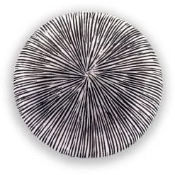 Meilleur prix ? Boule Solaire 27 Cm Optique Grès Lumière Solaire Décoration De Jardin LED Esotec 102676 ? -France Esotec Soldes 2024 26789724 5