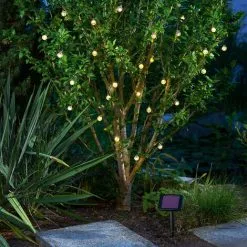 Meilleure vente ? Guirlande Lumineuse Solaire Avec 30 Boules Lumineuses LED Party Blanc Chaud Décoration De Noël Esotec ⌛ 8 Meilleure vente ? Guirlande Lumineuse Solaire Avec 30 Boules Lumineuses LED Party Blanc Chaud Décoration De Noël Esotec ⌛ -France Esotec Soldes 2024 26789867 4