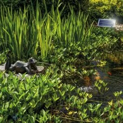 Le moins cher ❤️ Gargouille Grenouille + Pompe Solaire D’étang 8 Watts D’eau étang Esotec 101650 ? -France Esotec Soldes 2024 28040736 3