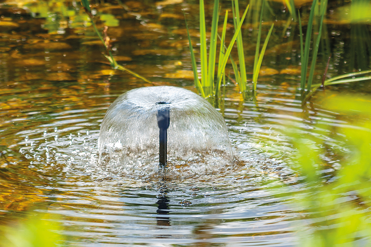 France Esotec Soldes 2024 -France Esotec Soldes 2024 101722 04 shopware